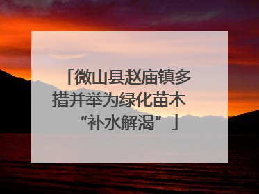 微山县赵庙镇多措并举为绿化苗木“补水解渴”