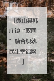 微山县韩庄镇“双圈”融合织就民生幸福网