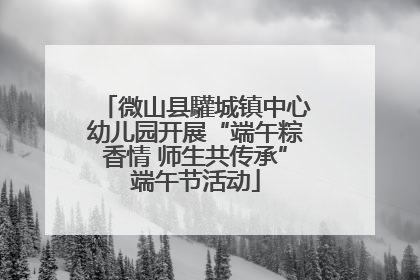 微山县驩城镇中心幼儿园开展“端午粽香情 师生共传承”端午节活动