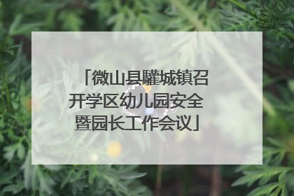 微山县驩城镇召开学区幼儿园安全暨园长工作会议