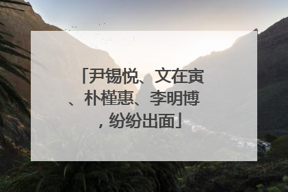 尹锡悦、文在寅、朴槿惠、李明博，纷纷出面