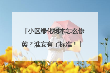 小区绿化树木怎么修剪？淮安有了标准！