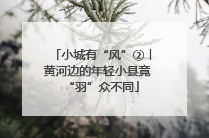 小城有“风”②丨黄河边的年轻小县竟“羽”众不同