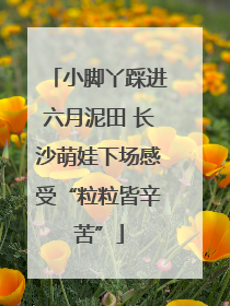 小脚丫踩进六月泥田 长沙萌娃下场感受“粒粒皆辛苦”