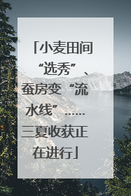 小麦田间“选秀”、蚕房变“流水线”……三夏收获正在进行
