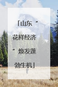山东“花样经济”焕发蓬勃生机