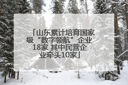 山东累计培育国家级“数字领航”企业18家 其中民营企业牵头10家