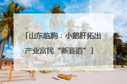 山东临朐：小鹅肝拓出产业富民“新赛道”