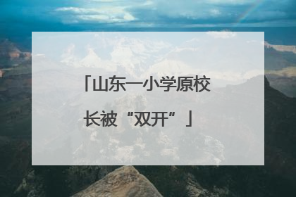 山东一小学原校长被“双开”