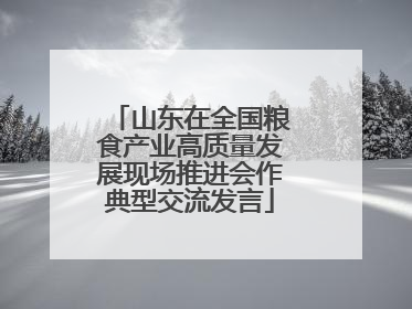山东在全国粮食产业高质量发展现场推进会作典型交流发言