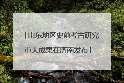 山东地区史前考古研究重大成果在济南发布