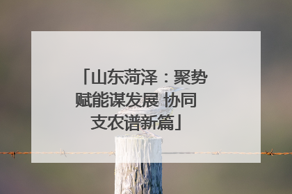 山东菏泽：聚势赋能谋发展 协同支农谱新篇