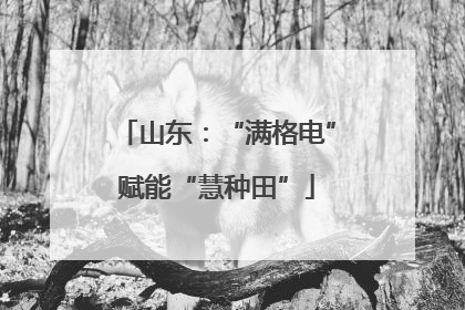 山东：“满格电”赋能“慧种田”