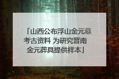 山西公布浮山金元墓考古资料 为研究晋南金元葬具提供样本