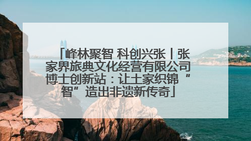 峰林聚智 科创兴张丨张家界旅典文化经营有限公司博士创新站：让土家织锦“智”造出非遗新传奇
