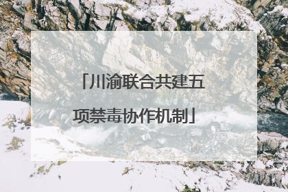 川渝联合共建五项禁毒协作机制