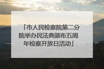 市人民检察院第二分院举办民法典颁布五周年检察开放日活动