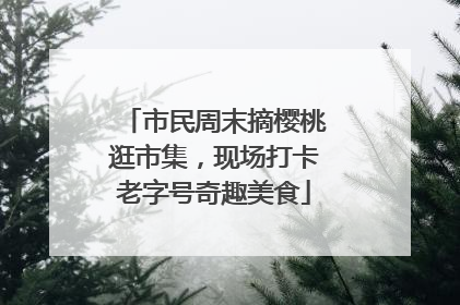 市民周末摘樱桃逛市集，现场打卡老字号奇趣美食
