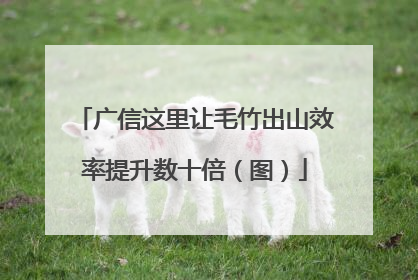 广信这里让毛竹出山效率提升数十倍（图）