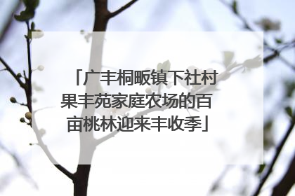 广丰桐畈镇下社村果丰苑家庭农场的百亩桃林迎来丰收季