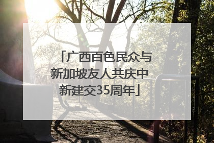 广西百色民众与新加坡友人共庆中新建交35周年