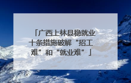 广西上林县稳就业十条措施破解“招工难”和“就业难”