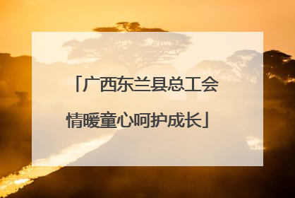 广西东兰县总工会情暖童心呵护成长