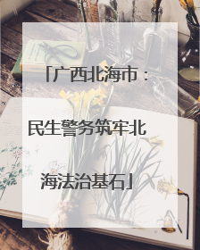 广西北海市：民生警务筑牢北海法治基石
