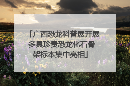 广西恐龙科普展开展 多具珍贵恐龙化石骨架标本集中亮相