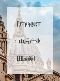 广西柳江：雨后产业田园美