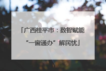 广西桂平市：数智赋能“一窗通办”解民忧