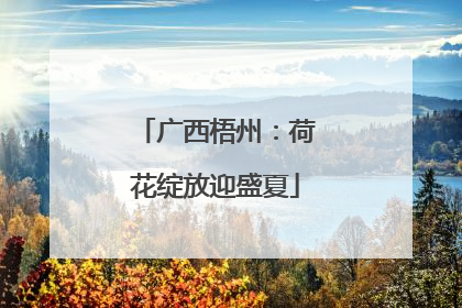 广西梧州：荷花绽放迎盛夏