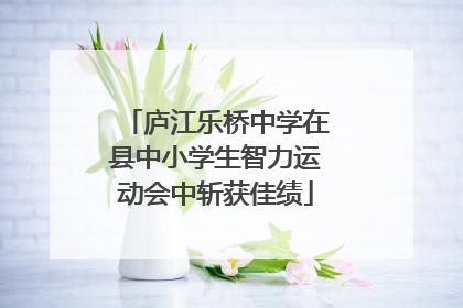 庐江乐桥中学在县中小学生智力运动会中斩获佳绩