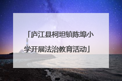 庐江县柯坦镇陈埠小学开展法治教育活动