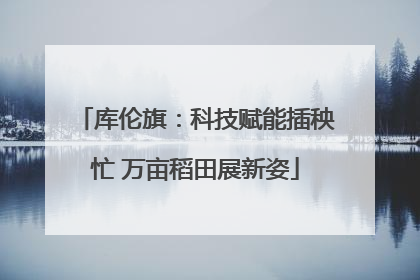 库伦旗：科技赋能插秧忙 万亩稻田展新姿