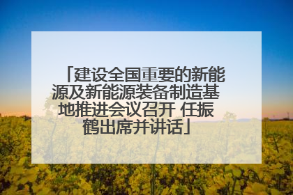 建设全国重要的新能源及新能源装备制造基地推进会议召开 任振鹤出席并讲话