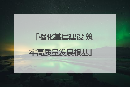 强化基层建设 筑牢高质量发展根基