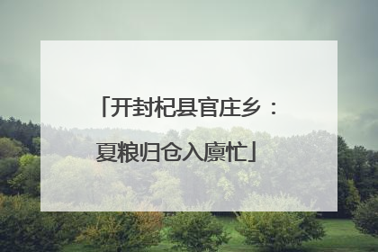 开封杞县官庄乡：夏粮归仓入廪忙