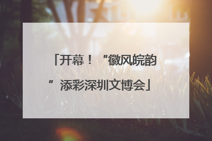 开幕！“徽风皖韵”添彩深圳文博会