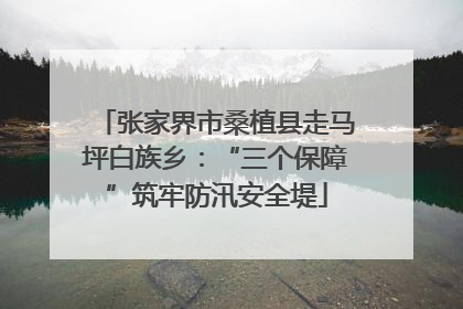 张家界市桑植县走马坪白族乡：“三个保障”筑牢防汛安全堤