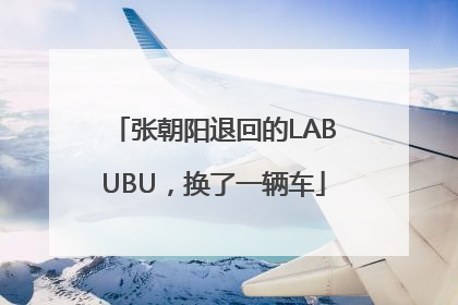 张朝阳退回的LABUBU，换了一辆车