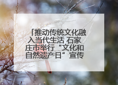 推动传统文化融入当代生活 石家庄市举行“文化和自然遗产日”宣传展示活动