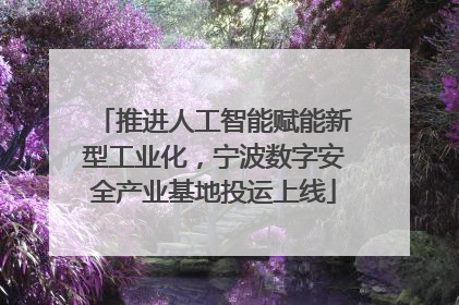 推进人工智能赋能新型工业化，宁波数字安全产业基地投运上线