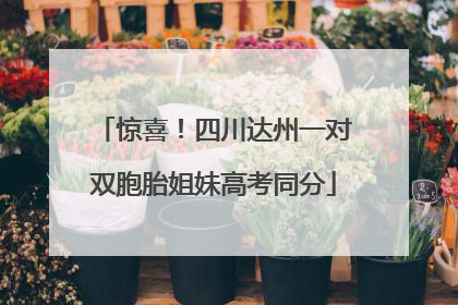惊喜！四川达州一对双胞胎姐妹高考同分