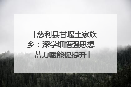 慈利县甘堰土家族乡：深学细悟强思想 蓄力赋能促提升