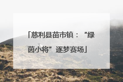 慈利县苗市镇：“绿茵小将”逐梦赛场