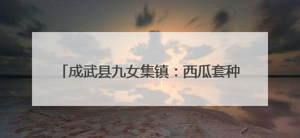 成武县九女集镇：西瓜套种辣椒 “一地双收”巧致富