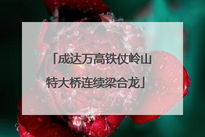 成达万高铁仗岭山特大桥连续梁合龙