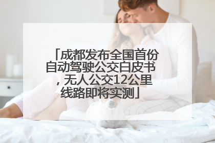 成都发布全国首份自动驾驶公交白皮书，无人公交12公里线路即将实测