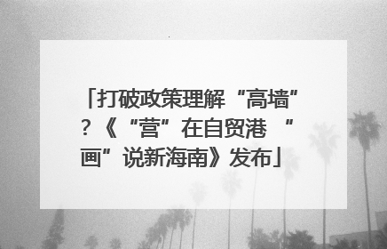 打破政策理解“高墙”？《“营”在自贸港 “画”说新海南》发布